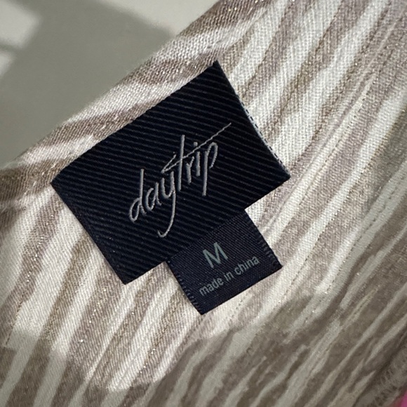 Daytrip Beige, Gold and White Striped V-Neck Blouse - Picture 2 of 9